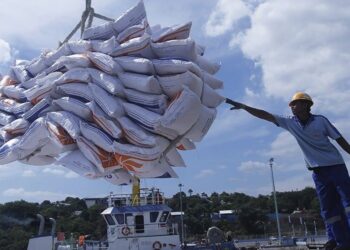 Krisis Pangan Mulai Mengancam, Singapura Terdampak Larangan Ekspor Beras India