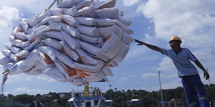 Krisis Pangan Mulai Mengancam, Singapura Terdampak Larangan Ekspor Beras India