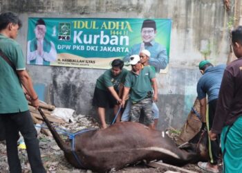 Rayakan Idul Adha Bersama Warga, DPW PKB DKI Jakarta Berbagi Daging Kurban!