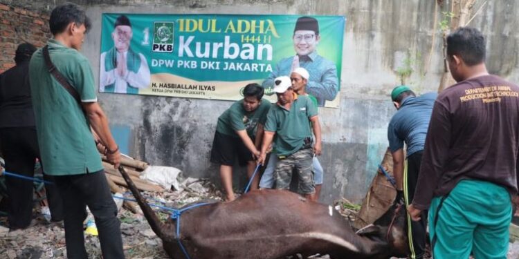 Rayakan Idul Adha Bersama Warga, DPW PKB DKI Jakarta Berbagi Daging Kurban!
