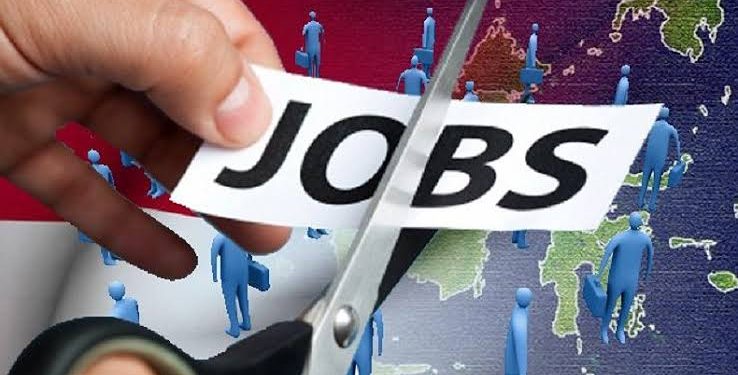 Pekerja Kena PHK Kini Dapat Bantuan 60% Gaji Selama 6 Bulan