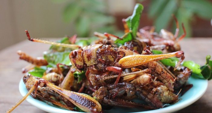 Makan Bergizi Gratis Diusulkan Pakai Lauk Serangga, Ustadz Wawan El Ganjuri: Haram Bagi yang Merasa Jijik!