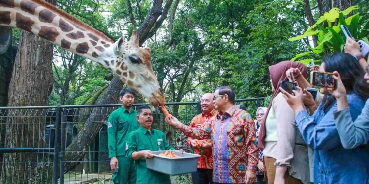 Gubernur Pramono rencana buka Kebun Binatang Ragukan 24 jam