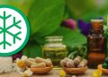 Obat herbal asli Indonesia