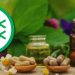 Obat herbal asli Indonesia
